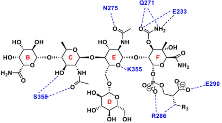 Figure 8. Characteristic hydrogen bonding interactions and electrostatic between 