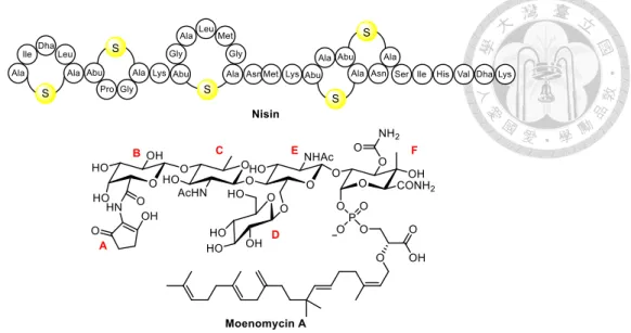 Figure 12. Structures of nisin and moenomycin A 