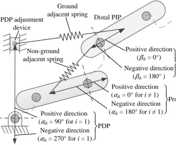 Fig. 7 Definition of the direction of PDPs and proximal and distal PIPs. Schematic  of a PDP adjustment device