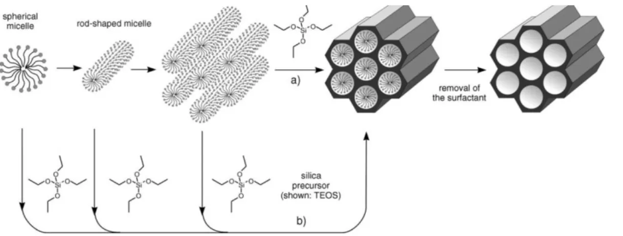 Figure 1.7. Formation  of  mesoporous  materials  by  structure-directing  agent:  (a)  true 