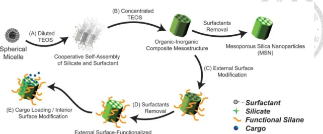 Figure 1.8. Schematic  illustration  for  the  synthesis  and  selective  functionalization  of 