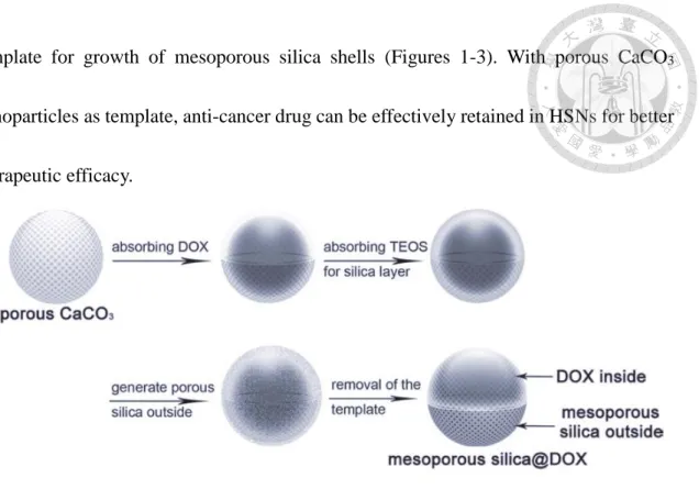 Figure 1-3.  The  schematic  illustration  of  doxorubicin  preloaded  mesoporous  silica  nanospheres by CaCO 3  nanoparticles templating