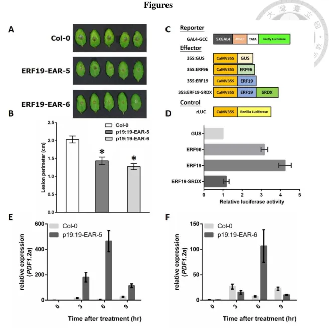 Figure  1.  Disease  responses  of  pERF19:ERF19-SRDX  transgenic  plants  to  B. 