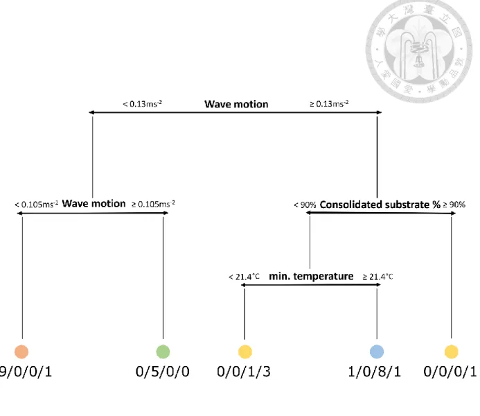 Figure 3. Regression Tree of k means result combined with abiotic factors. Numbers  below each group represent how many transects from the original partitioning results were  put into the nodes of this a posteriori tree 