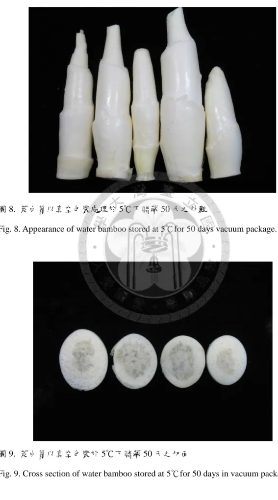 圖 8.  茭白筍以真空包裝處理於 5℃下儲藏 50 天之外觀 
