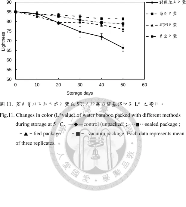 圖 11.  茭白筍以不同方式包裝在 5℃中貯藏期間基部切面 L*  之變化。 