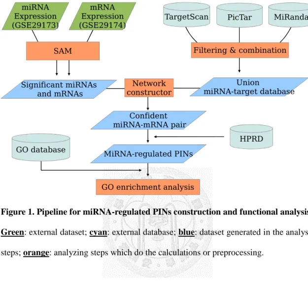 Figure 1. Pipeline for miRNA-regulated PINs construction and functional analysis. 
