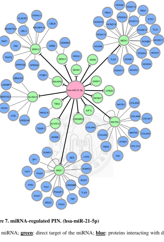 Figure 7. miRNA-regulated PIN. (hsa-miR-21-5p) 
