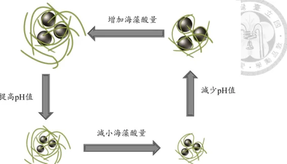 圖 5-2  海藻酸量和 pH 值對 Fe 3 O 4 ＠Alg 的粒徑影響示意圖 