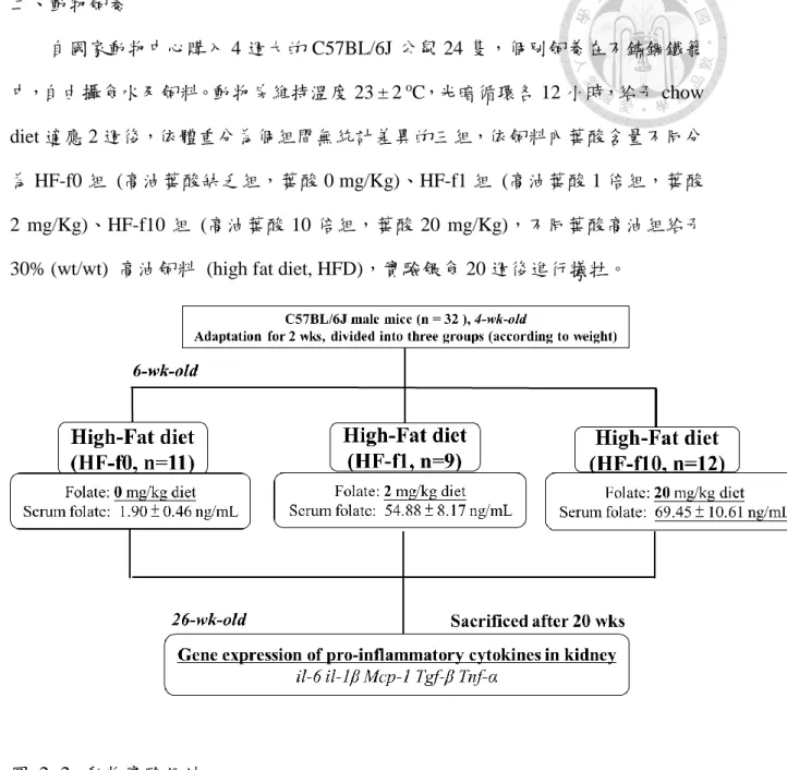 圖  2- 2.  動物實驗設計 