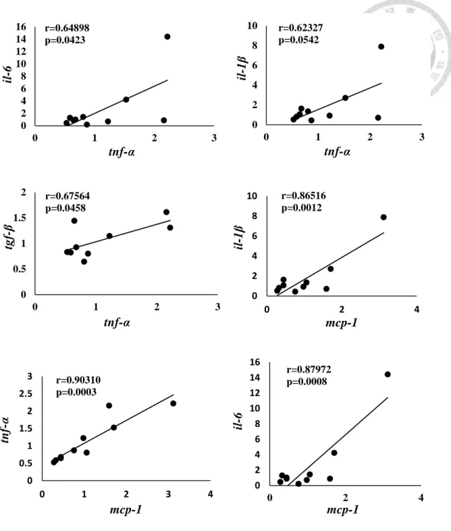 圖  2- 6.  葉酸缺乏高油飲食小鼠的腎臟發炎相關基因表現量之間的相關性 