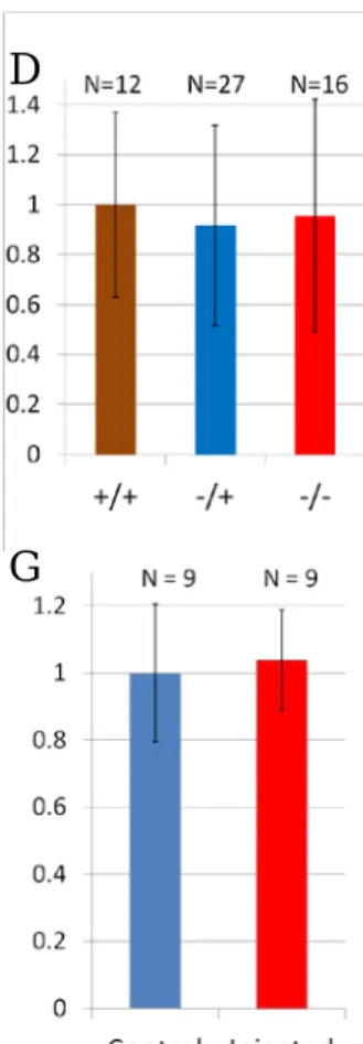 Figure 4. Loss- and gain-of-Rasd1 functional analyses. (A-C) Images showing anti-Lov antibody staining in the IPN