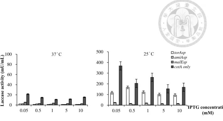 圖  2  在 E. coli BL21 (DE3)/pEXP-5CT/TOPO ® 系統中，IPTG 濃度及溫度等誘導 因子，對含不同訊號序列之納豆菌漆酶，於胞膜間區累積的影響 