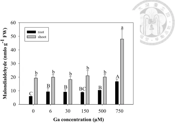 Figure 3. Lipid peroxidation of Arabidopsis treated with to 250 or 500 µM of Ga(NO 3 ) 3 
