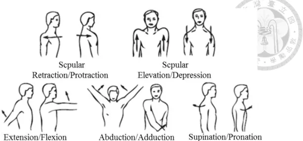 Fig. 2 Scapula movements and rotations of the glenohumeral joint  (image adopted from (Yalcin, 2012)) 