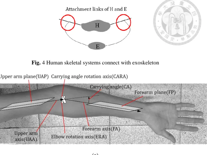 Fig. 5 Rotation axes and translation axes of human limb (a) elbow complex (b)  shoulder complex 