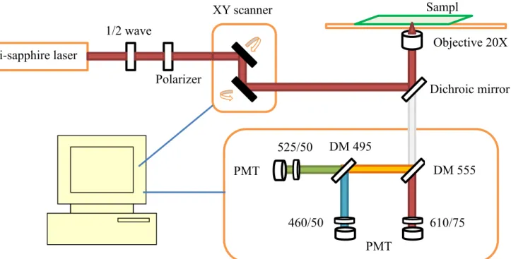 Figure 3.1.1 Laser and microscope system 