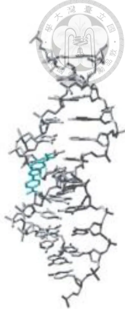 Figure 3.2.1 chemical formula of DAPI 