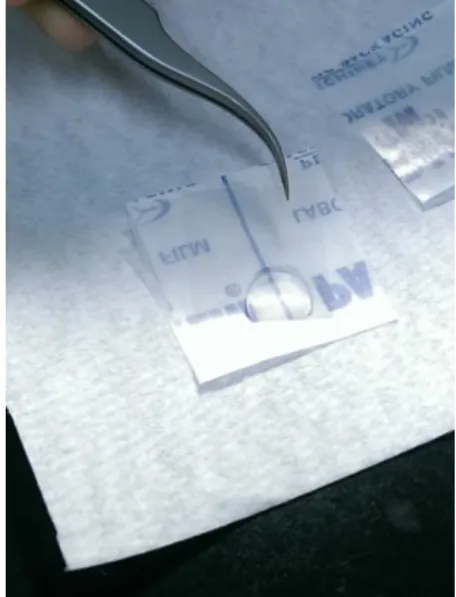 Figure 3.4.1 the method to stain DAPI 