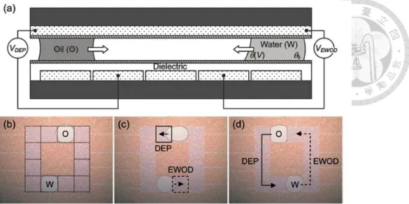 Fig. 2-16：利用高低頻率的電訊號產生介電泳及介電濕潤現象，在同一平臺上 操控導電與介電液體[44]。 