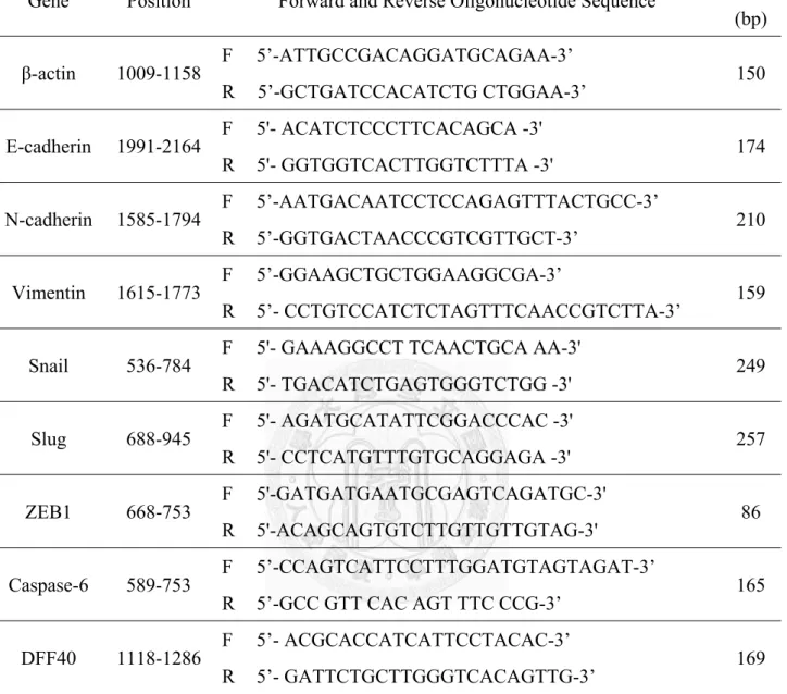 表 2-1. RT-PCR 與 real-time PCR 所使用的核酸引子(primer) 