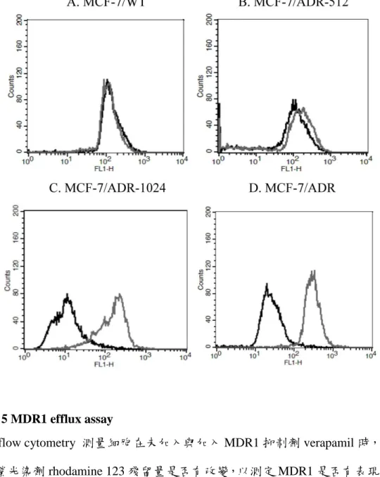 圖 圖  5 MDR1 efflux assay 