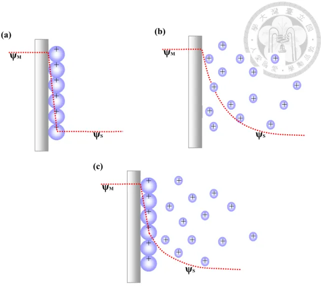 Figure  2-4.  Schemes  of  the  electric  double  layer:  (a)  the  Helmholtz  model;  (b)  the  Gouy-Chapman model; (c) the Stern model