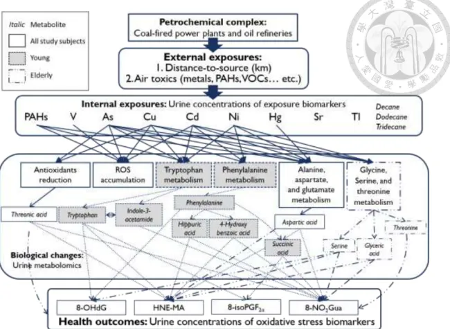 Figure 7. Exposure pathways of petrochemical air pollution and the effects on  urine metabolic profile changes and increased oxidative stress 