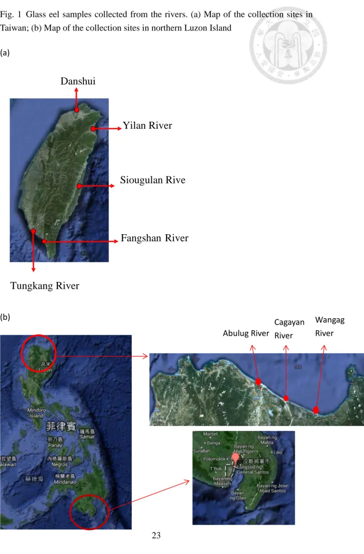 Fig. 1  Glass eel samples collected from the rivers. (a) Map of the collection sites in  Taiwan; (b) Map of the collection sites in northern Luzon Island 