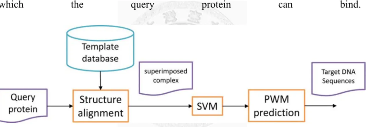 Figure 2 shows the workflow of the proposed method. Given an unbound query protein 