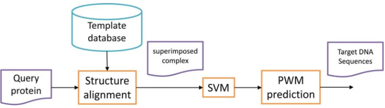 Figure 2).  This is achieved by applying the rotation matrix reported by the TM-align   