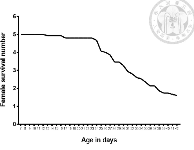 Figure 8. Average amount of female survived on each day of Chrysomya megacephala  reproductive cycle test