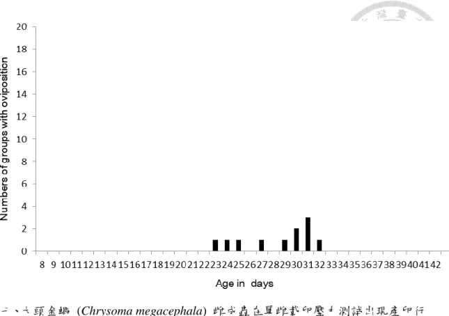 Figure 4. Group amounts of Chrysoma megacephala with oviposition in single female  egg load test