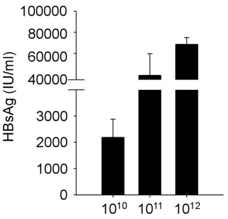 Figure 1. Long-term expression of HBsAg in low, intermediate, and high viral  loads 