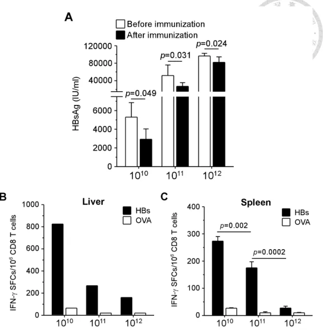 Figure 2. Functional impairment of HBV-specific CD8 T cells depended on viral  loads 