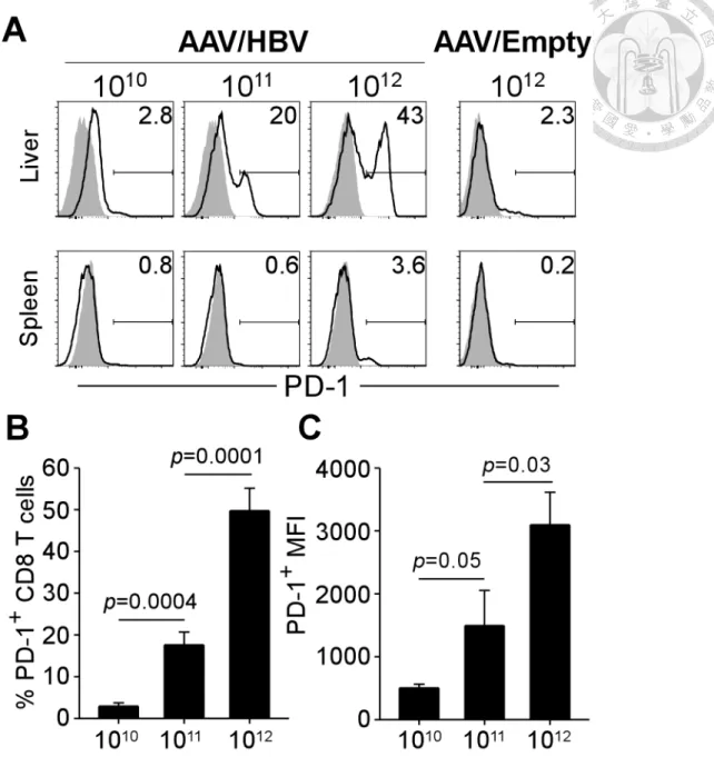 Figure 3. PD-1 expression on intrahepatic CD8 T cells was upregulated in a viral  load-dependent manner 