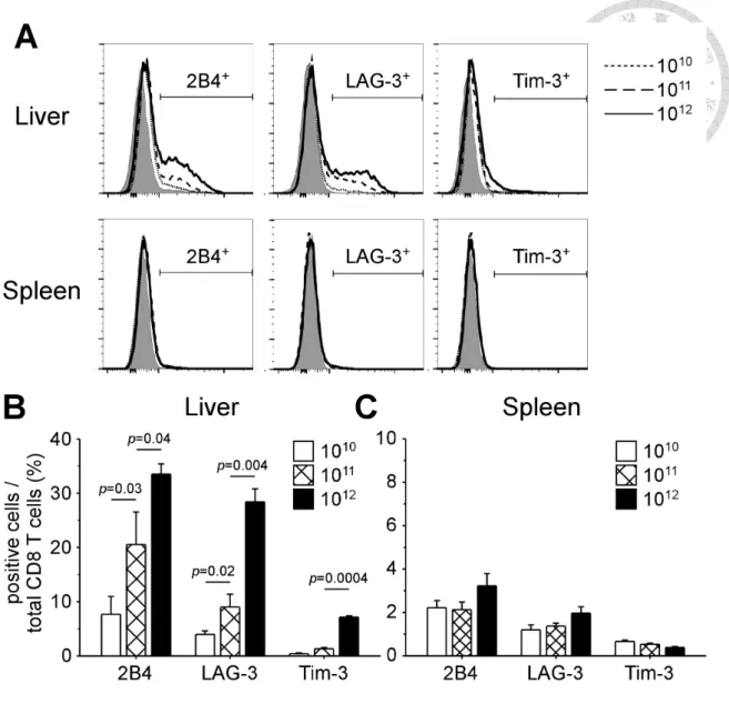 Figure 4. Expression of 2B4 and LAG-3 on intrahepatic CD8 T cells increased with  greater extents during infection of higher viral loads 