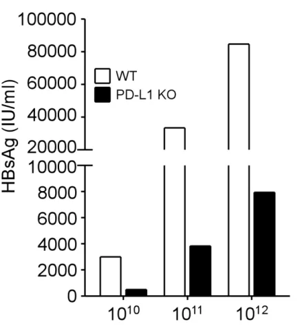 Figure 7. Reduction of HBsAg in PD-L1 KO mice infected with low, intermediate,  and high viral loads of AAV/HBV 