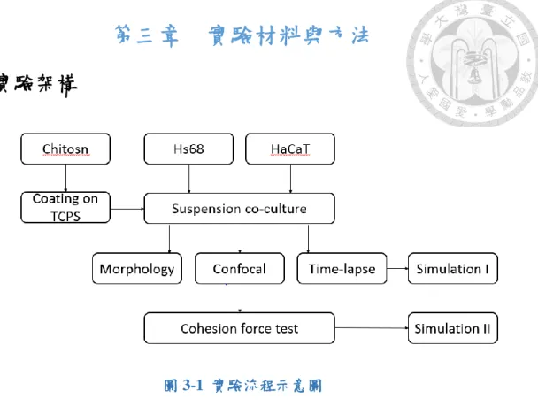 圖 3-1  實驗流程示意圖 