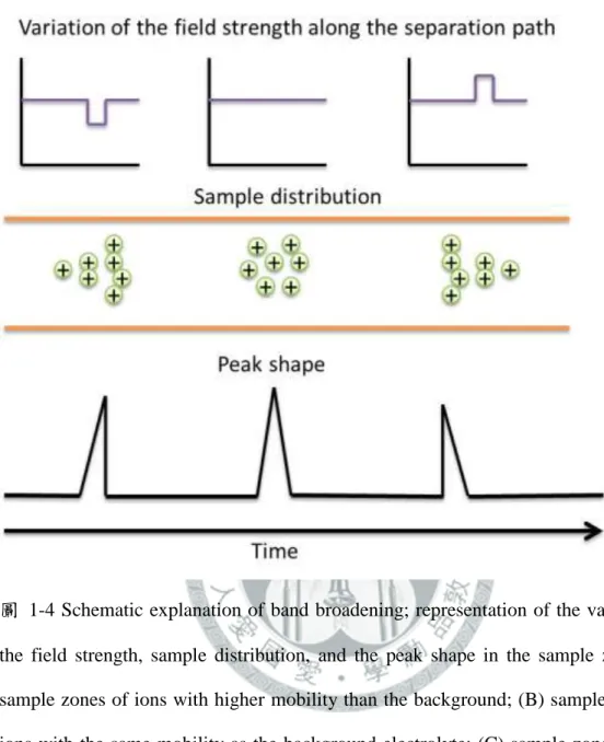 圖  1-4 Schematic explanation of band broadening; representation of the variation of  the  field  strength,  sample  distribution,  and  the  peak  shape  in  the  sample  zone:  (A)  sample zones of ions with higher mobility than the background; (B) sample