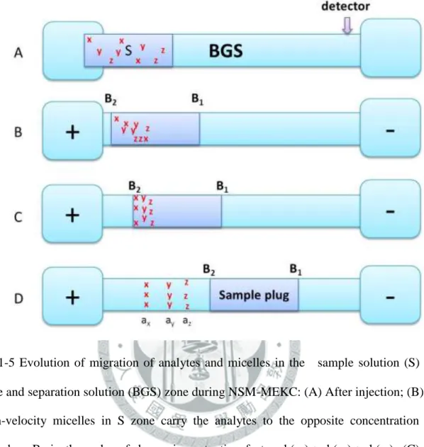 圖  1-5  Evolution  of  migration  of  analytes  and  micelles  in  the    sample  solution  (S)  zone and separation solution (BGS) zone during NSM-MEKC: (A) After injection; (B)  high-velocity  micelles  in  S  zone  carry  the  analytes  to  the  opposit