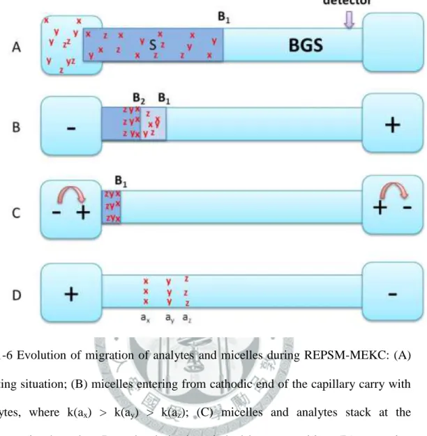 圖  1-6 Evolution of migration of analytes  and micelles during REPSM-MEKC: (A)  Starting situation; (B) micelles entering from cathodic end of the capillary carry with  analytes,  where  k(a x )  >  k(a y )  >  k(a z );  (C)  micelles  and  analytes 