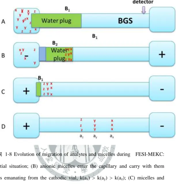 圖  1-8 Evolution of migration of analytes  and micelles during    FESI-MEKC: 