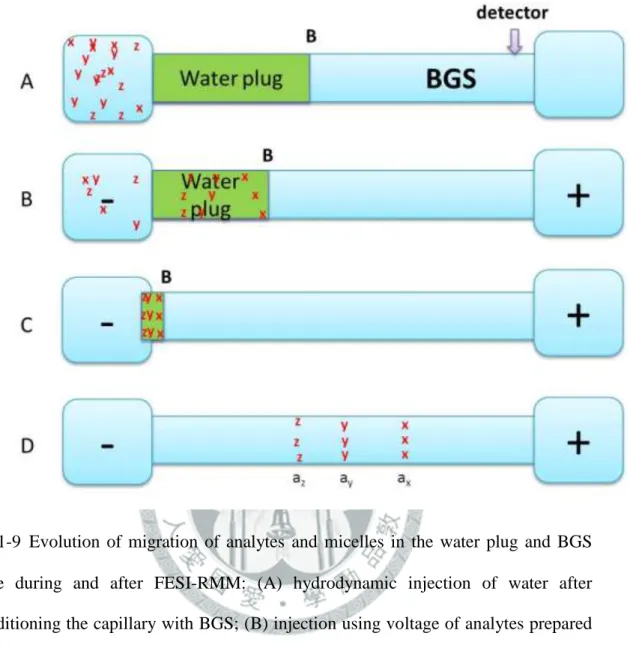 圖  1-9 Evolution  of  migration  of  analytes  and  micelles  in  the  water  plug  and  BGS  zone  during  and  after  FESI-RMM:  (A)  hydrodynamic  injection  of  water  after  conditioning the capillary with BGS; (B) injection using voltage of analytes 