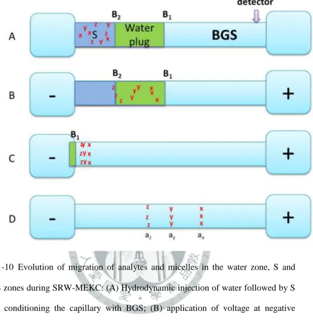 圖  1-10 Evolution  of  migration  of  analytes  and  micelles  in  the  water  zone,  S  and  BGS zones during SRW-MEKC: (A) Hydrodynamic injection of water followed by S  after  conditioning  the  capillary  with  BGS;  (B)  application  of  voltage  at  