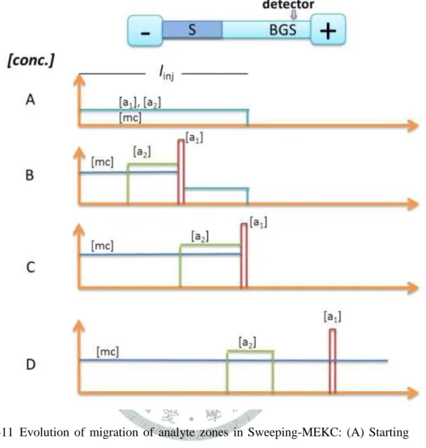 圖  1-11 Evolution  of  migration  of  analyte  zones  in  Sweeping-MEKC:  (A)  Starting  situation,  injection  of  sample  solution  S  with  length  l  inj  after  conditioning  the  capillary  with  BGS  (found  at    both  electrode  vials);  (B)  mice