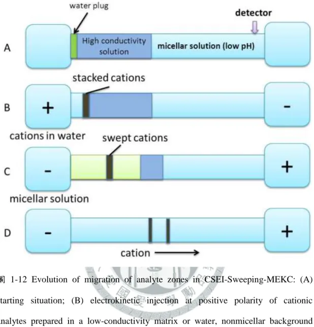 圖  1-12  Evolution  of  migration  of  analyte  zones  in  CSEI-Sweeping-MEKC:  (A)    starting  situation;  (B)  electrokinetic  injection  at  positive  polarity  of  cationic      analytes  prepared  in  a  low-conductivity  matrix  or  water,  nonmicel