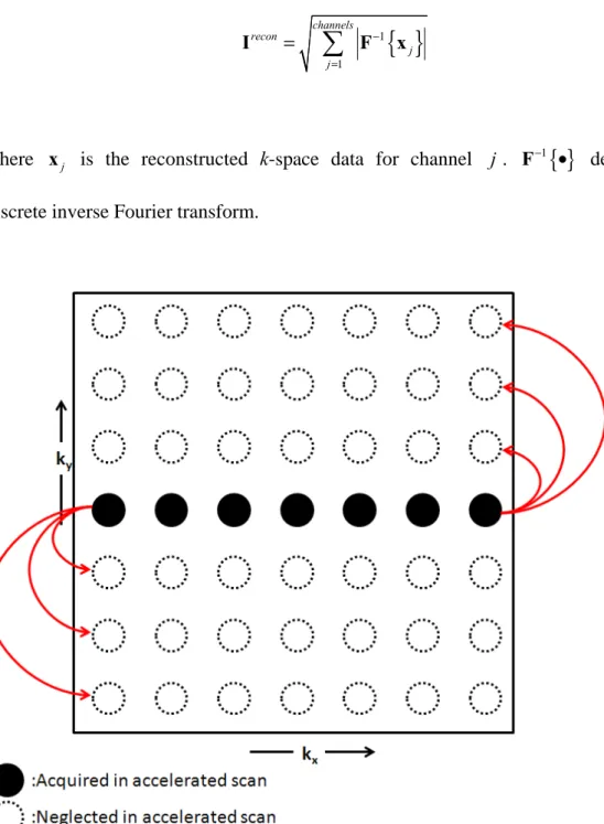 Figure 2.  K-InI reconstruction uses the phase encoding data at the k-space center  A ACC   to interpolate the skipped k-space data