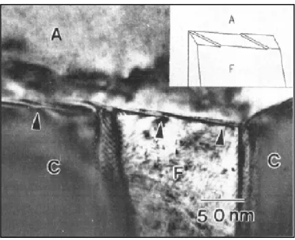 Figure 2-12 The observed growth ledge on the pearlite/austenite interface [48] 