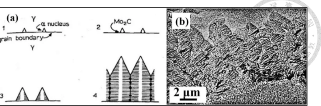 Figure 2-19  Model illustrating the Mo2C carbides formed in spiky noduls. Fe-4.10Mo-0.23C (wt%)  isothermal transformation at 650 oC for 2 hours [46] 